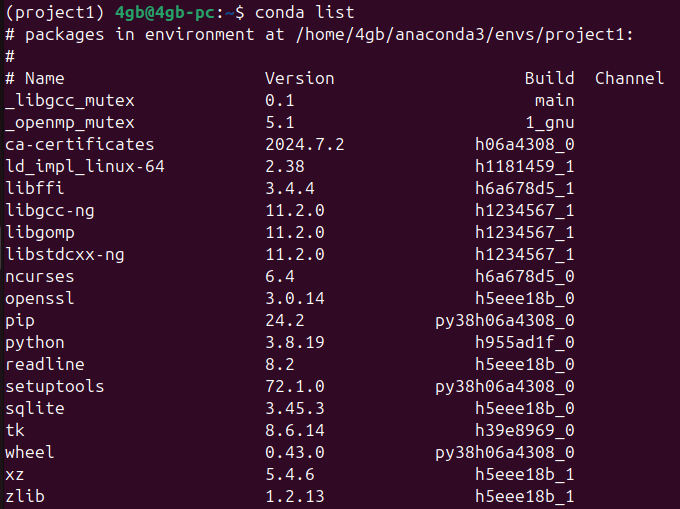 Figure 3. Checking the installed packages in the currently activated virtual environment