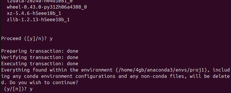 Figure 2. Removing all packages and the conda environment