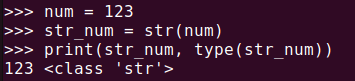 Figure 1. Converting a numeric value to a string using Python str()