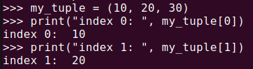 그림 2. 파이썬 tuple: 인덱스로 접근하기