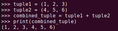 그림 4. 파이썬 tuple: 덧셈 연산자로 튜플 결합