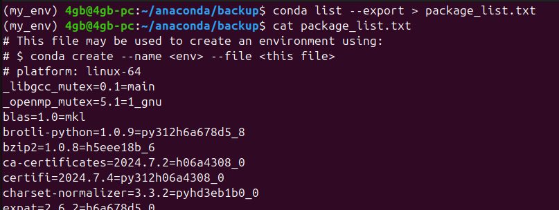 Figure 3. Backup of an Anaconda virtual environment using a package list