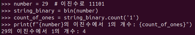 그림 2. 파이썬 bin() 함수를 활용해서 이진수에서 1의 개수 세기