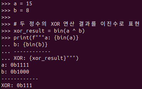 그림 3. 파이썬 bin() 함수를 활용해서 XOR 비트 연산 결과 확인