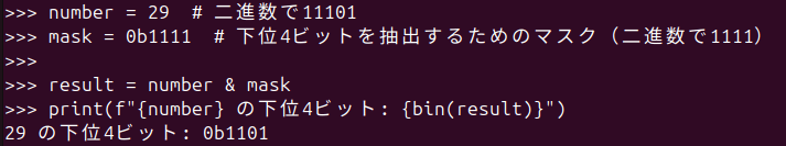 図4. Python の bin() 関数を活用してビットマスキング結果を確認する