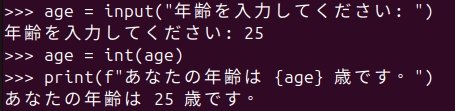 図2. Python int() 関数で文字列 "25" を数値に変換