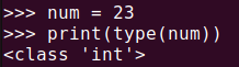 Figure 1. Result of running Python type() on an integer variable